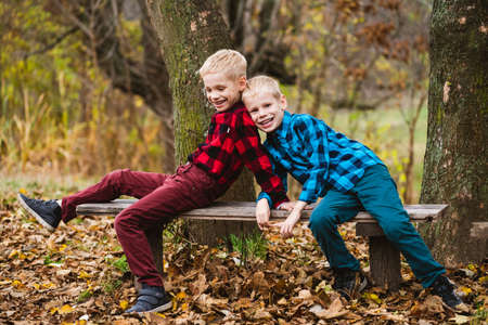 Charming preteen twin boys in checkered shirts smile and play together on romantic wooden bench in autumn parkの写真素材