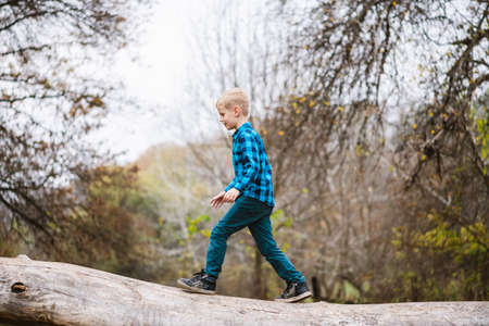 Preeteen male child activity in nature. One boy walking on fallen tree trunk at autumn forest backgroundの写真素材