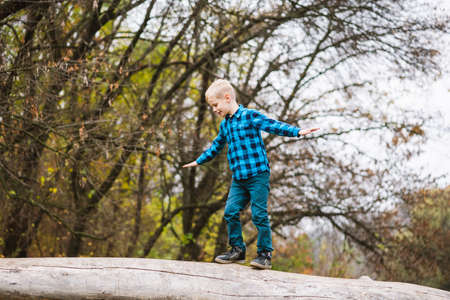 Blonde active boy in casual outfit stand on old wood and spread arms, happy childhood outdoors at autumn forest backgroundの写真素材