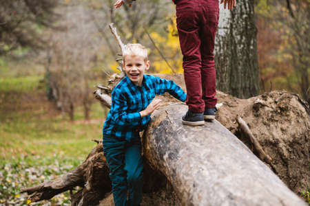 Two preteen male curious kids climbing and playing with huge fallen tree trunk in autumn park, active happy childhoodの写真素材