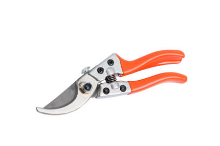 Gardening instrument, orange new clean pruner secateurs scissors on isolated background for cutting tree branchesの写真素材