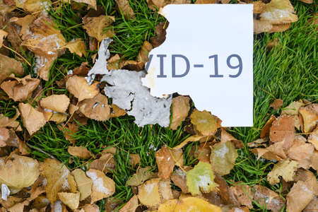 Burned white paper sheet with printed words Covid-19 lay at autumn background with green grass and...