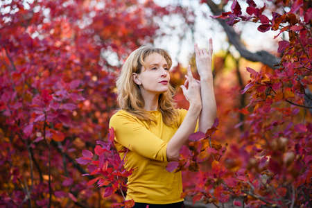 Portrait of woman middle age meditate and relax in red autumn forest, colorful fall leisure activities outdoorsの写真素材