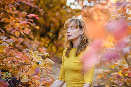Portrait of woman middle age with closed eyes doing yoga meditation and concentration in beautiful autumn forestの写真素材