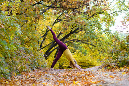 Woman making outdoor workout, stand in yoga dog Adho mukha Svanasana pose barefoot in beautiful fall autumn forestの写真素材