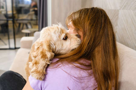 Teenager girl playing with spaniel while sitting on sofa in living room. Girl hugging with her dog while sitting on couch.の写真素材