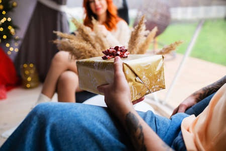 Cozy ambience in a house with New Year's decor. Christmas mood.の写真素材