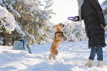 A young woman plays with her dog in the winter forest.の写真素材