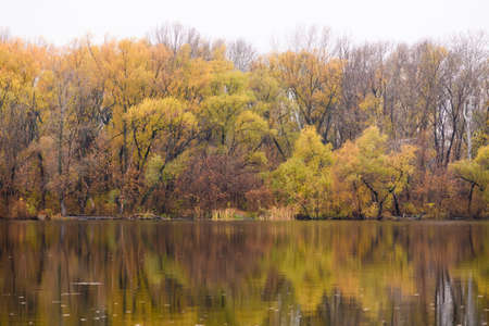 Beautiful autumn pond with reflection of trees with yellowed foliage. The city is hidden in the fog in the background. High quality photo.の写真素材
