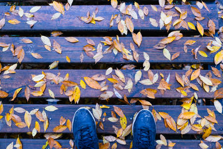 First-person view of legs. Wet fallen leaves on a wooden platform for fishing against the background of the river. high quality photoの写真素材