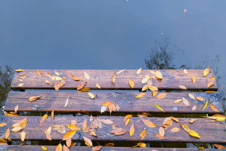 Wet fallen leaves on a wooden platform for fishing against the background of the river. high quality photoの写真素材
