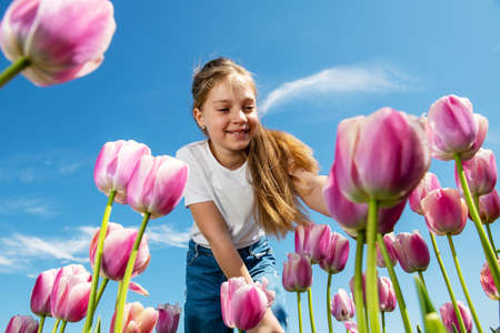 Bottom view of a beautiful girl looking at a pink and white tulip flowers with sky background. The girl bent over the flowers.の写真素材