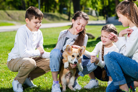 Teenage children play with a corgi puppy on a green lawn on a sunny day. Children stroking a dog.の写真素材