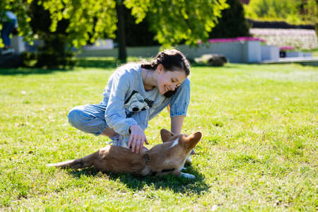 Teen girl petting a corgi puppy sitting on a green lawn on a sunny day.の写真素材