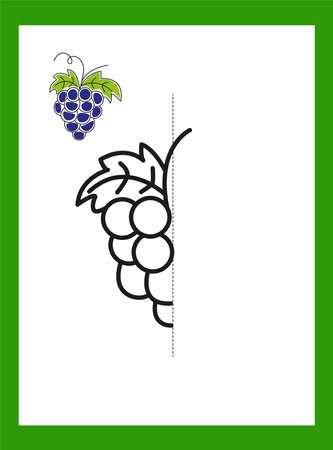 Draw a drawing. Vegetables. Grapes. Vector image.のイラスト素材