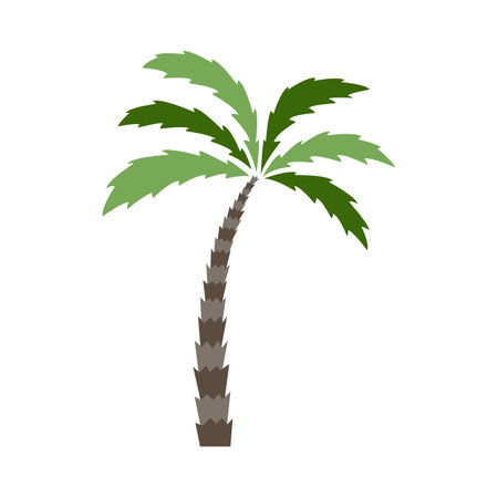 Graphic vector image of a palm tree.のイラスト素材