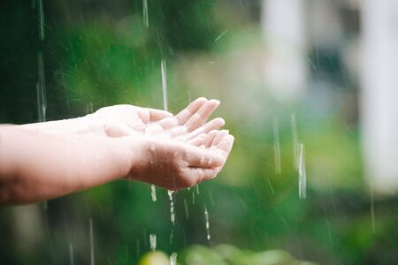 Pretty woman collects rain with her handsの写真素材