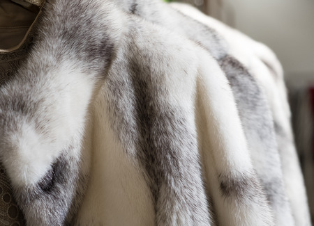 Mink coats hanging at the new fashion store