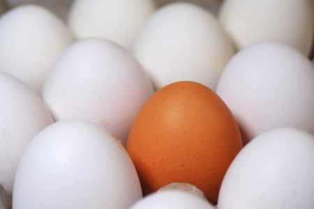 Among all white eggs, one colored egg in the trayの写真素材