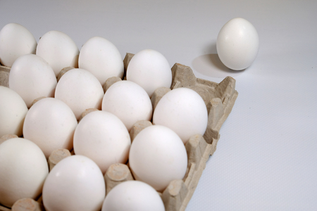 White eggs in a box except one egg standing apart from all