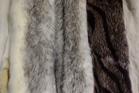 Natural mink fur for sewing fur coatsの写真素材