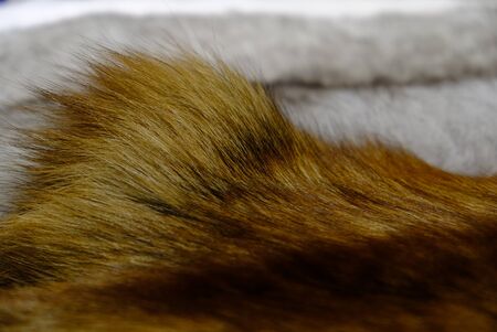 Natural mink fur for sewing fur coatsの写真素材