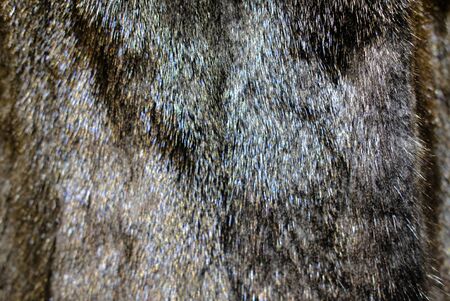 Natural mink fur for sewing fur coatsの写真素材