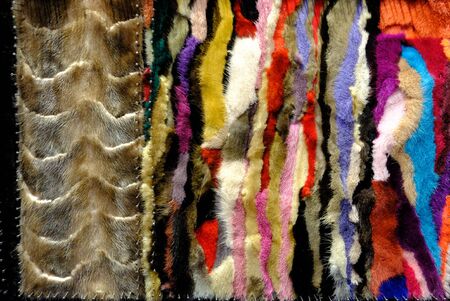 Mink fur for the production of fashionable fur coats background for the catalogの写真素材