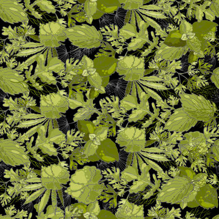 Seamless pattern with garden herbs on black background.の写真素材