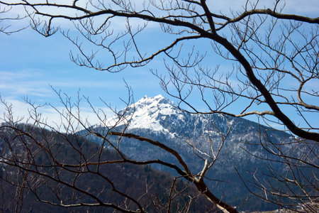 Tree branches in the foreground, A massive idyllic mountain covered in snow in a winter alpine landscapeの写真素材