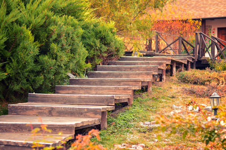 Wooden stairs in the autumn forest, the pavement, with yellow fallen maple leave. Cafe in the woodsの写真素材
