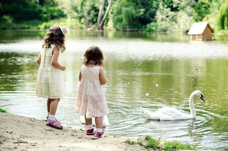 Two little girls feeding swansの写真素材