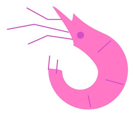 shrimp vector illustrationのイラスト素材
