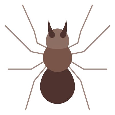 spider vector illustrationのイラスト素材