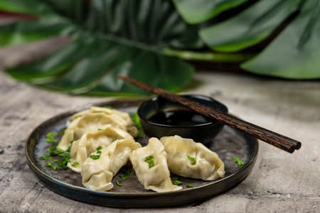 Gyoza or dumplings snack with soy sauce, selective focus, copy space.and chopsticks, top view.の写真素材