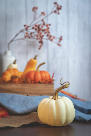 Autumn decor,  pumpkins,dry  berries and leaves on a white  background. Concept of Thanksgiving , Halloweenの写真素材