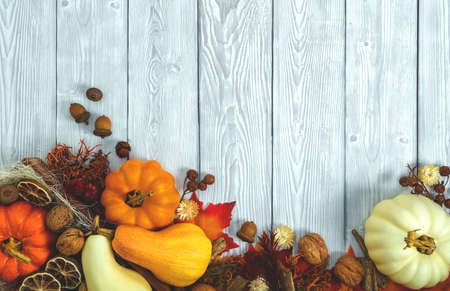 Autumn decor,  pumpkins,dry  berries and leaves on a white  background. Concept of Thanksgiving , Halloween. Flat lay  with copy space.の写真素材