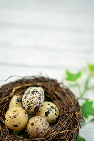 Easter  candy eggs in different colors in nest Easter holiday candy concept.の写真素材