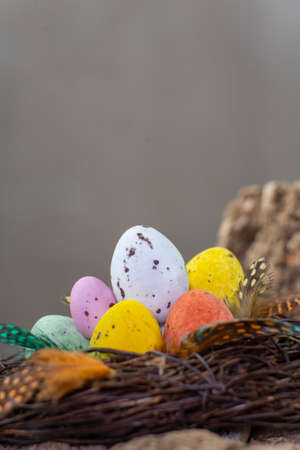 Easter  candy eggs in different colors in nest Easter holiday candy concept.の写真素材