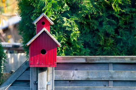 Red bird House On a wooden fenceの写真素材