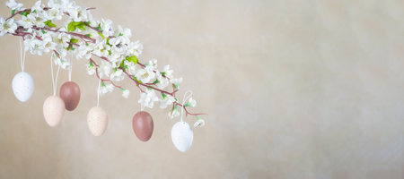 Natural not Colored Easter eggs hanging on branch with white flowers.の写真素材
