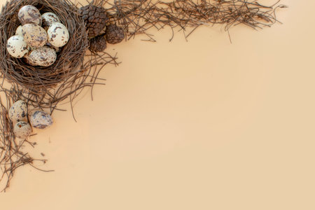 Quail eggs nest and writing space   Easter backgroundの写真素材