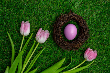 Bird nest with a Easter egg on green grass with pink tulips.
