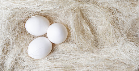 Three eggs in chicken nest with white straw.の写真素材