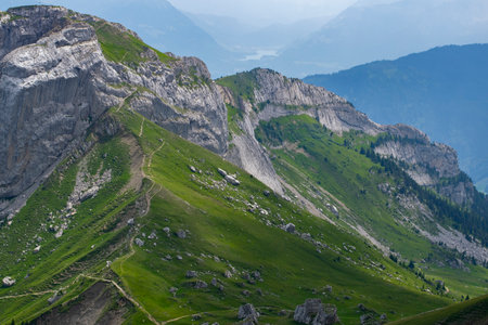 Alps with fresh green meadows and  trees of forest at mountain sunny day with blue sky and clouds in springtime.の写真素材