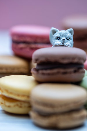 Kittens play around colored macaroons.Macro photographyの写真素材