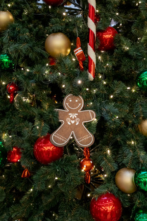 Christmas cookies hang on christmas tree.の写真素材