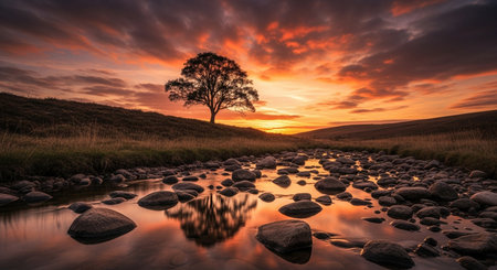 Lone Tree Silhouette at Dusk with Flowing Streamの素材