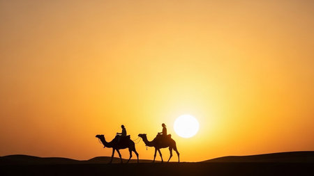 Silhouette of three camels in desert at sunset, Moroccoの素材