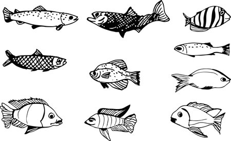Fish Set - Black and White Vector Illustration, Isolated On White Backgroundのイラスト素材